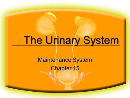 The Urinary System Maintenance System Chapter 15.