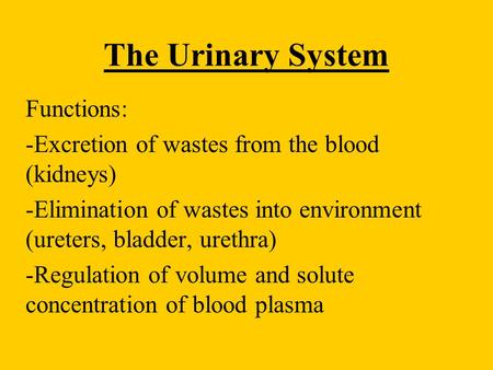 The Urinary System Functions:
