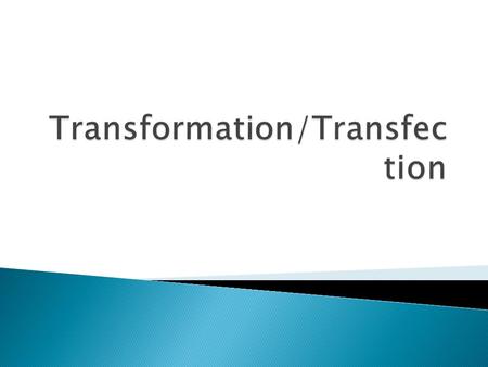 Transformation/Transfection