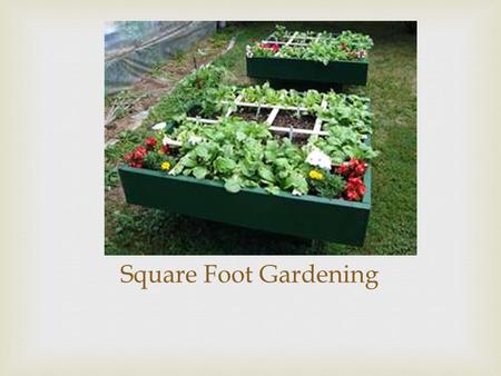 Square Foot Gardening.   It is a method of gardening where you plant your vegetables in a 1’x1’ square  Advantages of Doing this:  Reduced Weeding.