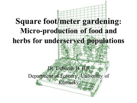 Square foot/meter gardening : Micro-production of food and herbs for underserved populations Dr. Deborah B. Hill Department of Forestry, University of.