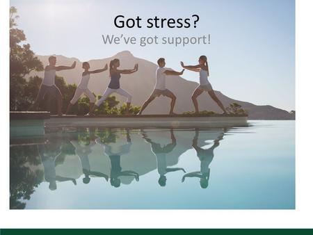 Got stress? We’ve got support!. Stress Is Everywhere Everyone has stress―now more than ever! Environmental stress Physical stress Emotional stress.