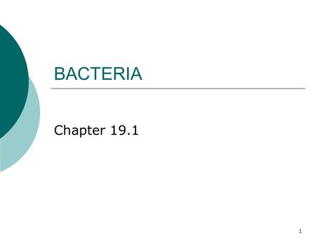 1 BACTERIA Chapter 19.1 2 This is a pore in human skin and the yellow spheres are bacteria.