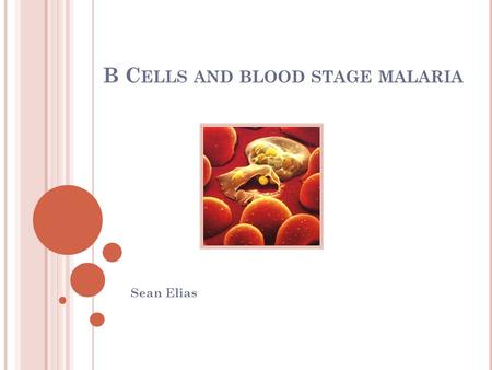 B C ELLS AND BLOOD STAGE MALARIA Sean Elias. M ALARIA L IFE C YCLE.