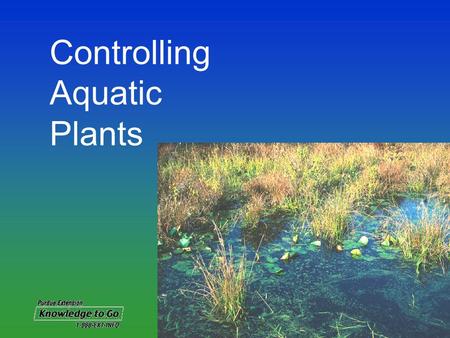Controlling Aquatic Plants. When left uncontrolled, aquatic plants Impair recreational uses Cause foul odors and bad taste to drinking water Cause fish.