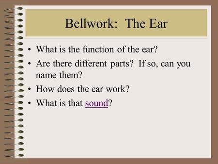 Bellwork: The Ear What is the function of the ear?