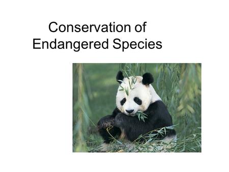 Conservation of Endangered Species. The first federal policy for the protection of endangered species was the Endangered Species Preservation Act, passed.