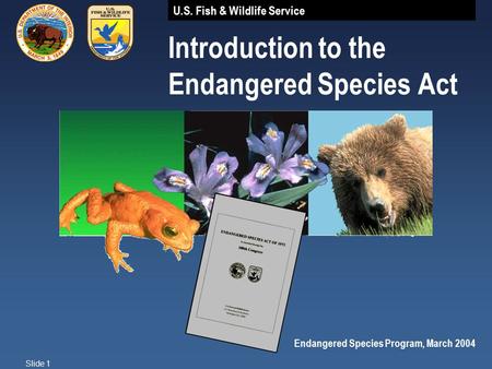 U.S. Fish & Wildlife Service Slide 1 Introduction to the Endangered Species Act Endangered Species Program, March 2004.