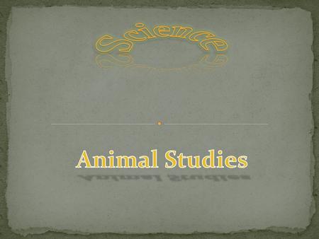 Science Animal Studies.