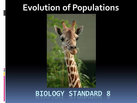 Evolution of Populations. Genes and Variation  Gene Pool  Contains all the alleles of all the genes in a population.
