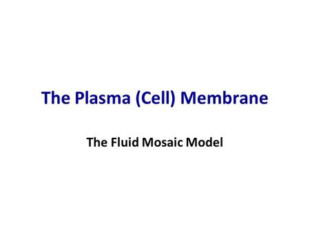 The Plasma (Cell) Membrane The Fluid Mosaic Model.