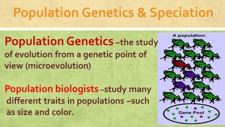 Population Genetics & Speciation