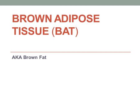 BROWN ADIPOSE TISSUE (BAT) AKA Brown Fat. Brown Fat One of two types of fat or adipose tissue (the other being white adipose tissue) found in mammals.adipose.