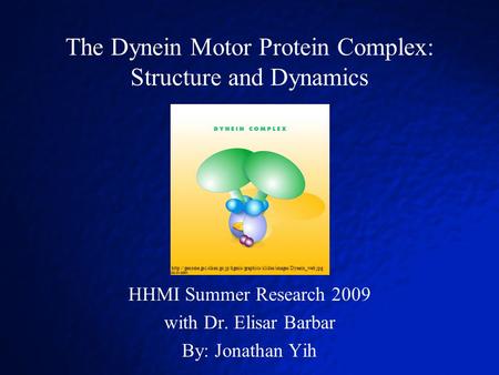 The Dynein Motor Protein Complex: Structure and Dynamics HHMI Summer Research 2009 with Dr. Elisar Barbar By: Jonathan Yih