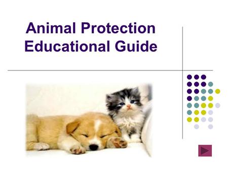 Animal Protection Educational Guide. Content Universal Declaration of Animal Rights – page 1 Universal Declaration of Animal Rights – page 2 Dogs: brushing,