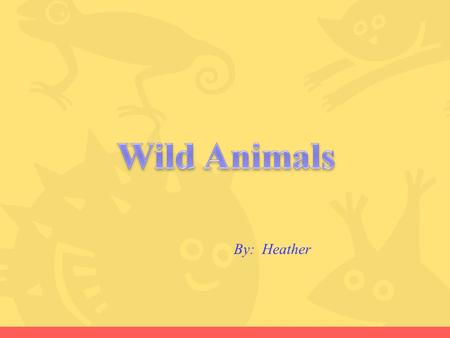 Wild Animals By: Heather.