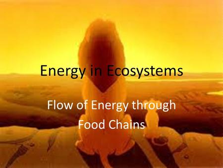 Flow of Energy through Food Chains
