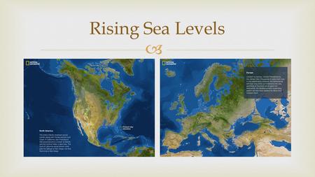  Rising Sea Levels.    Several food chains connected together  Shows many different paths of how plants and animals are connected  Each level.