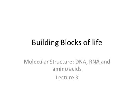 Building Blocks of life Molecular Structure: DNA, RNA and amino acids Lecture 3.