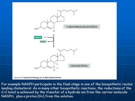 For example NADPH participate in the final stage in one of the biosynthetic routes leading cholesterol. As in many other biosynthetic reactions, the reductions.