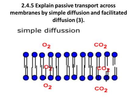 2.4.5 Explain passive transport across membranes by simple diffusion and facilitated diffusion (3).