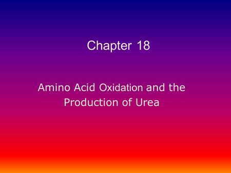 Amino Acid Oxidation and the Production of Urea