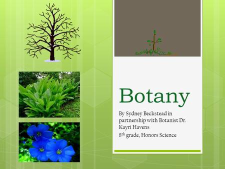Botany By Sydney Beckstead in partnership with Botanist Dr. Kayri Havens 8 th grade, Honors Science.