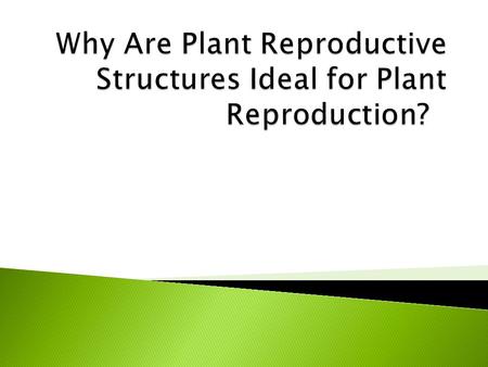 Why Are Plant Reproductive Structures Ideal for Plant Reproduction?