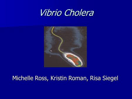 Vibrio Cholera Michelle Ross, Kristin Roman, Risa Siegel.