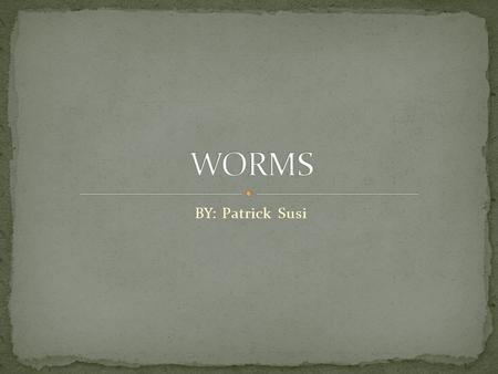 BY: Patrick Susi.  Worms are numerous long, slender, soft- bodied, legless, and bilaterally symmetrical invertebrates.