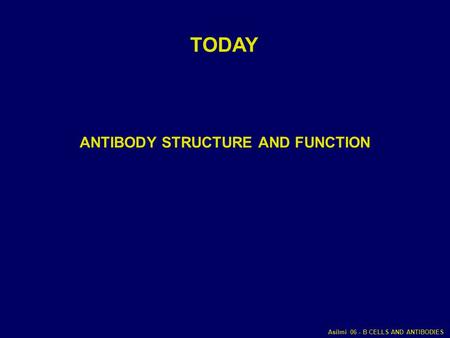 ANTIBODY STRUCTURE AND FUNCTION