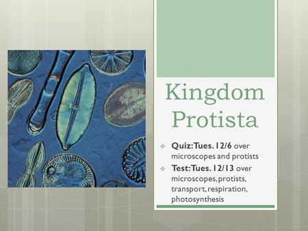 Kingdom Protista  Quiz: Tues. 12/6 over microscopes and protists  Test: Tues. 12/13 over microscopes, protists, transport, respiration, photosynthesis.