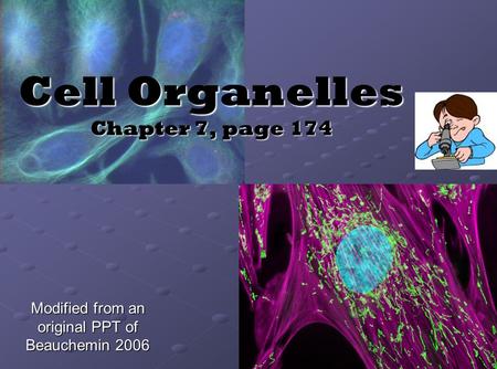 Cell Organelles Chapter 7, page 174
