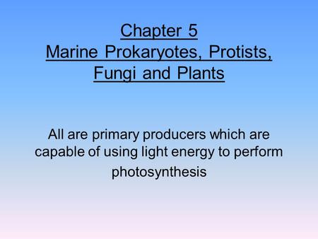 Chapter 5 Marine Prokaryotes, Protists, Fungi and Plants All are primary producers which are capable of using light energy to perform photosynthesis.