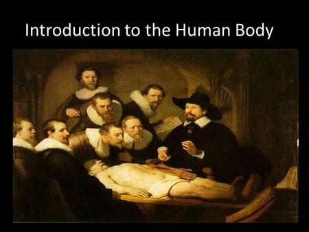 Introduction to the Human Body. Earliest anatomical studies occurred on live humans and animals called vivisection thousands of years ago. Copyright ©