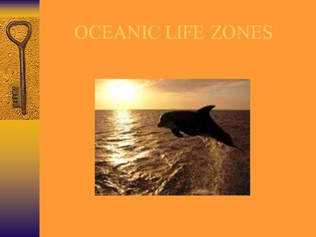 OCEANIC LIFE ZONES.