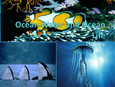 Ocean Water and Ocean Life