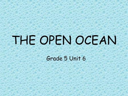 THE OPEN OCEAN Grade 5 Unit 6. THE OPEN OCEAN How much of the Earth is covered by the ocean? What do we mean by the “open ocean”? How do we describe the.