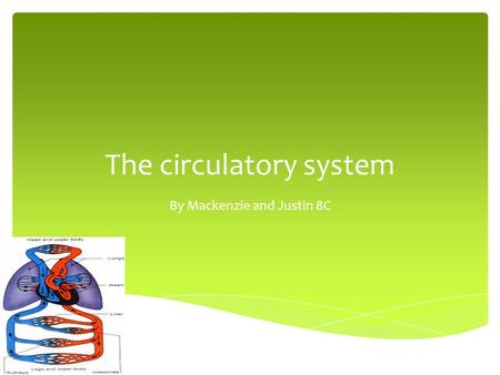 The circulatory system By Mackenzie and Justin 8C.