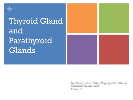 Thyroid Gland and Parathyroid Glands