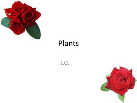 Plants J.G.. These are 5 reasons why plants are important. 1.All of the oxygen available for living organisms comes from plants. 2.It is the oxygen that.