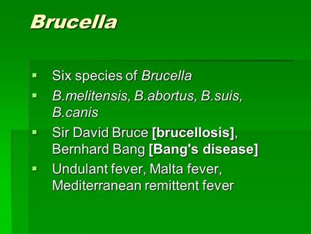 Brucella Six species of Brucella