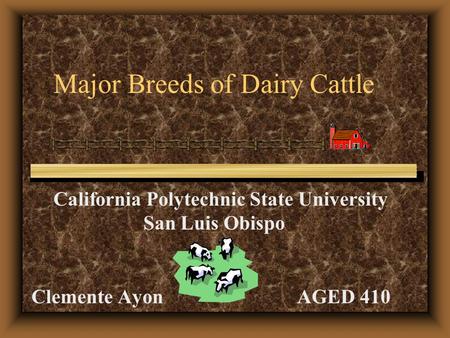 Major Breeds of Dairy Cattle