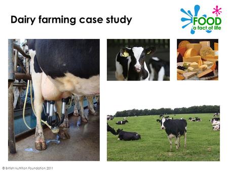 © British Nutrition Foundation 2011 Dairy farming case study.