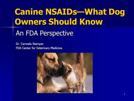 Canine NSAIDs—What Dog Owners Should Know