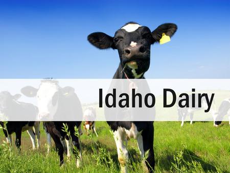 Idaho Dairy Today we are going to learn about Idaho daries.