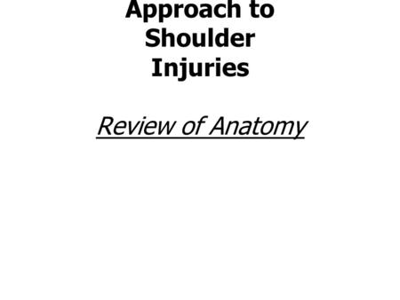 Neuromuscular Therapy Approach to Shoulder Injuries Review of Anatomy