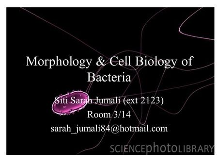 Morphology & Cell Biology of Bacteria