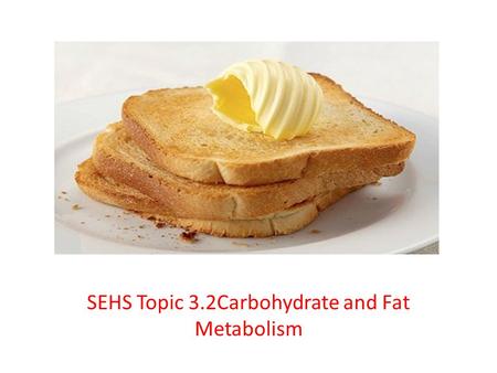 SEHS Topic 3.2Carbohydrate and Fat Metabolism