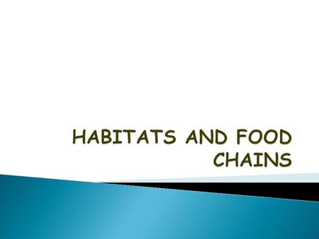 HABITATS AND FOOD CHAINS